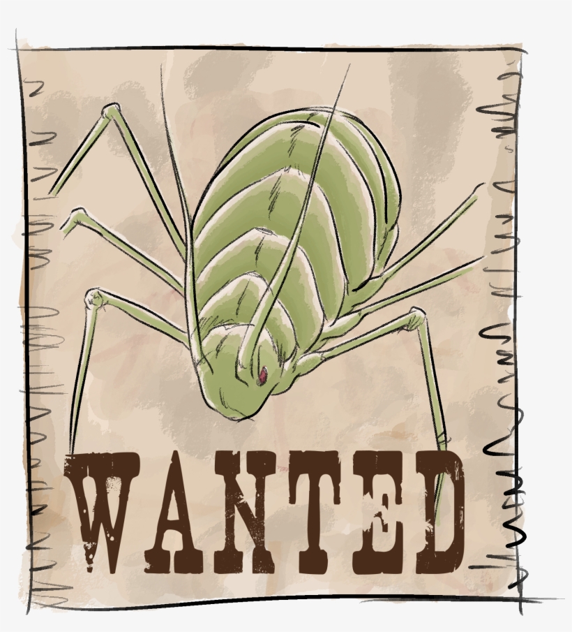El Pulgón - Wanted Poster, transparent png