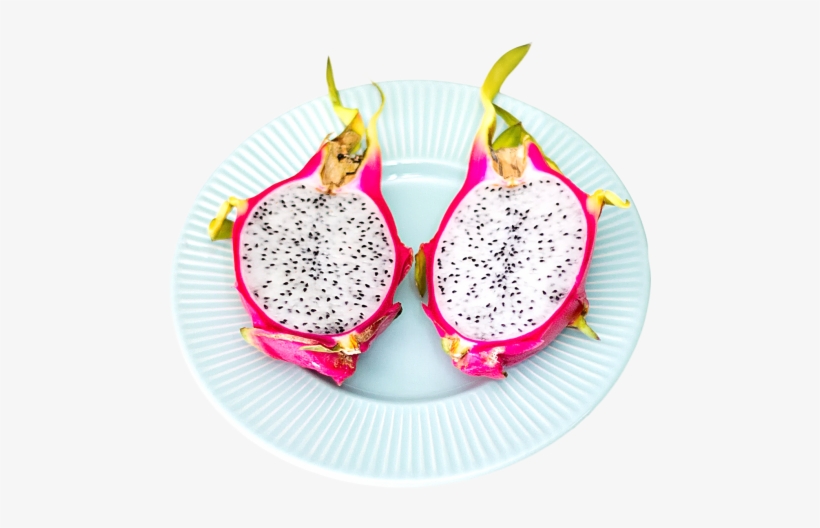download dragon fruit on plate png image pitaya 500x463 png download pngkit pngkit