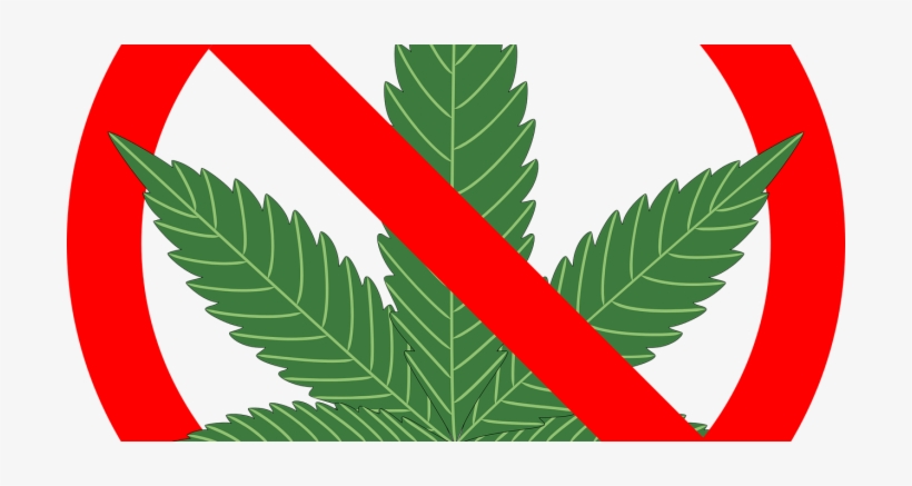 Green - Reasons Not To Smoke Marijuana: The Complete ], transparent png