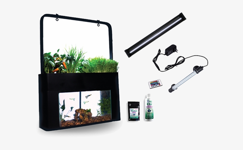 Aquasprouts Garden Bundle - Aquarium Aquaponics, transparent png