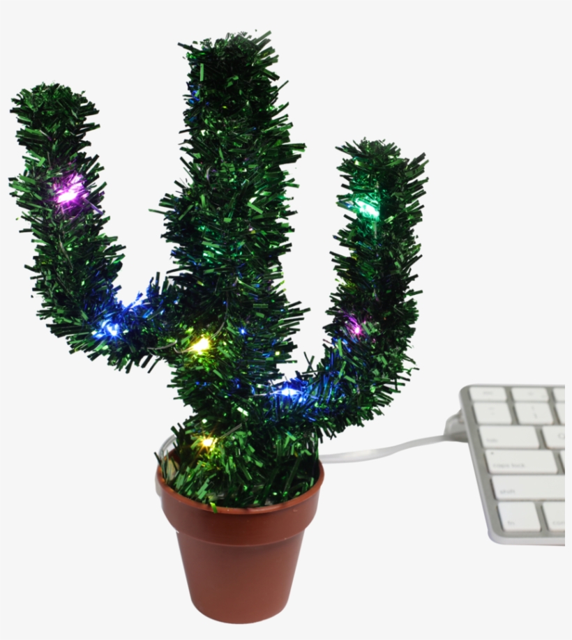 Merry Christmas Cactus With Glowing Led - Christmas Day, transparent png