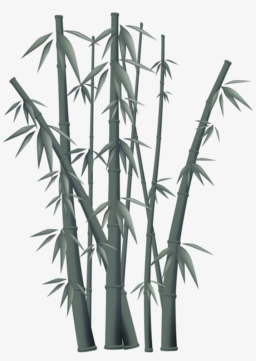 Bamboo Free Content Clip Art - Bamboo Tree Vector Png, transparent png