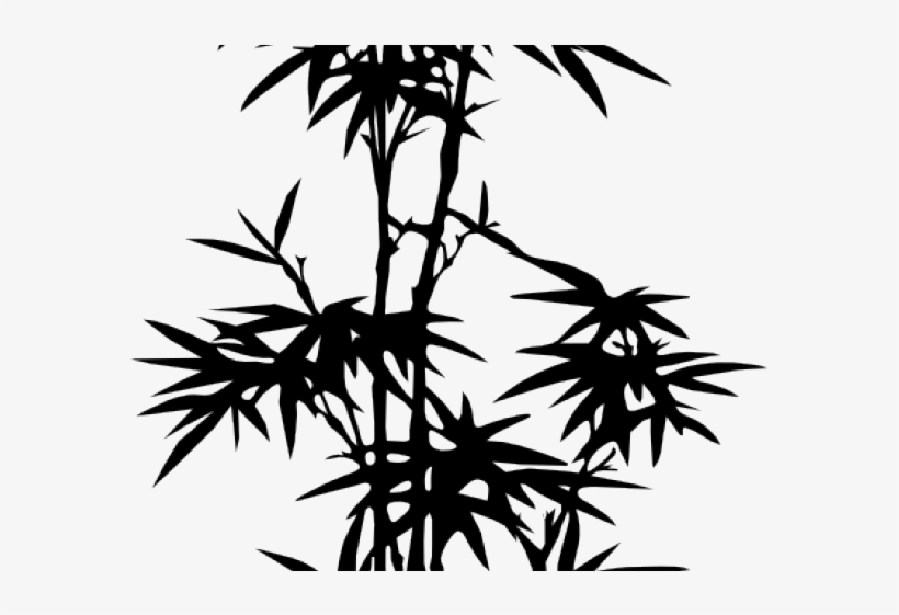 Drawn Bamboo Vector - Bamboo Silhouette, transparent png