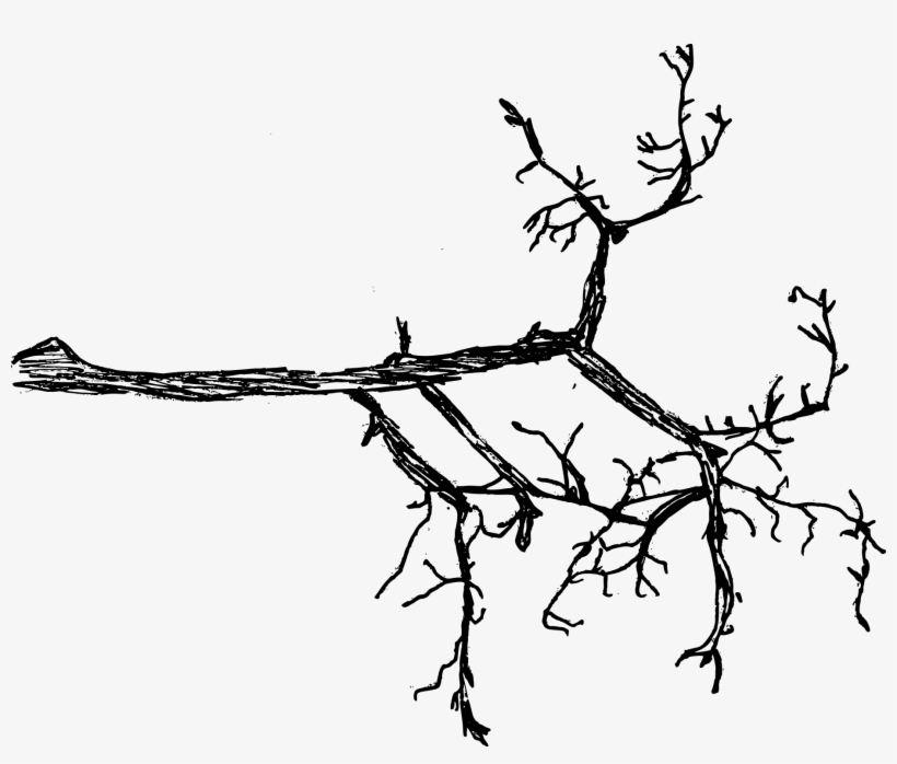 Free Download - Drawing, transparent png