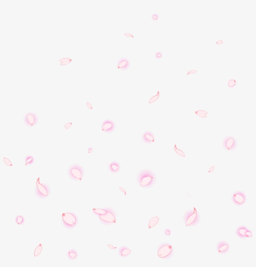 Petals Petalosfloristas Petalos Flordecerezo Cerezo - Animal, transparent png