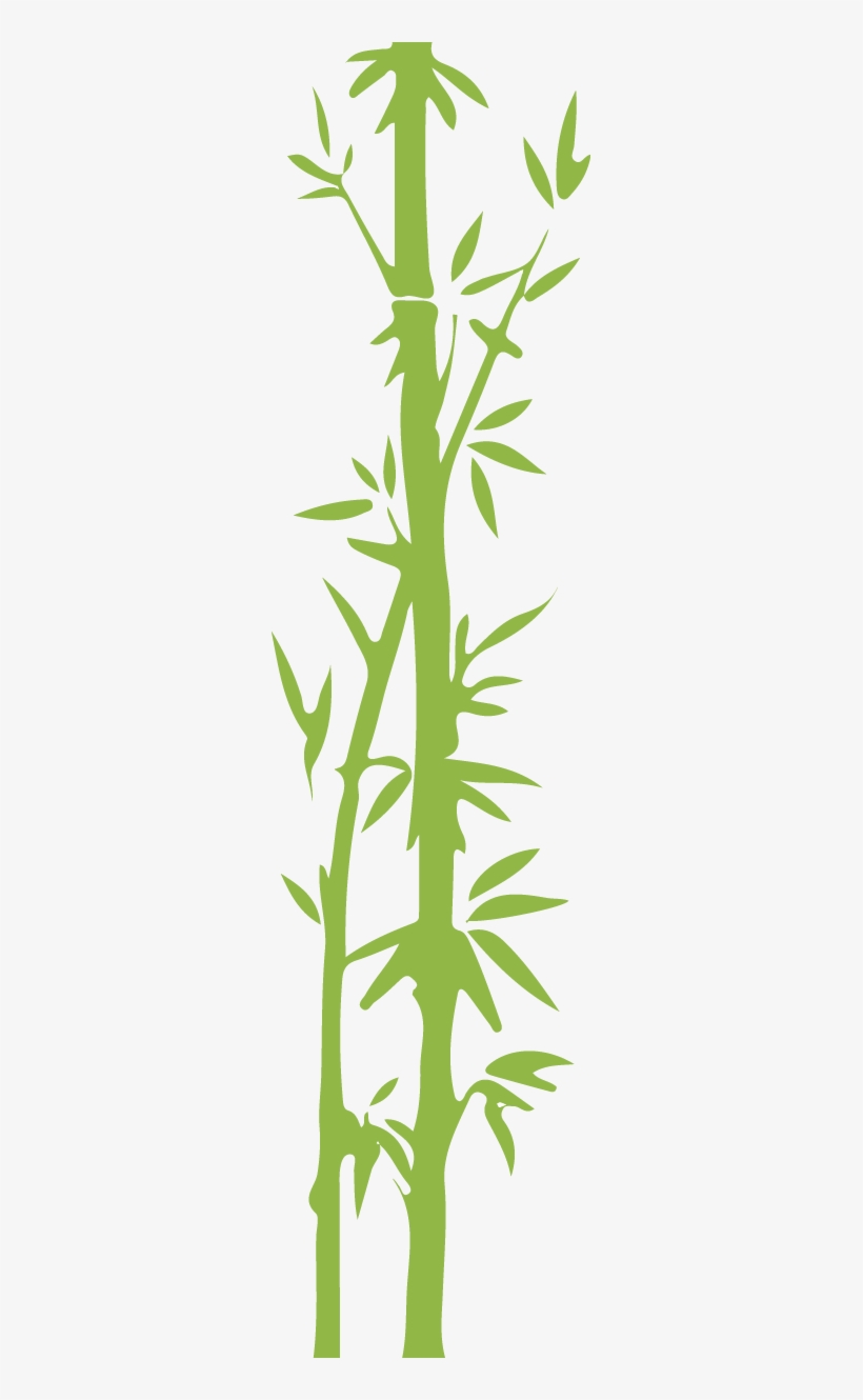 Giant Pandas Live In Central China In Some Mountain - Japanese Bamboo Transparent Background, transparent png