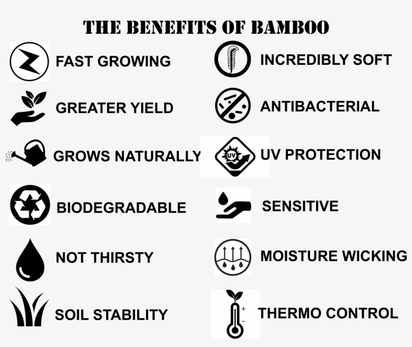 Why Wear Bamboo - Scott Recoil Xi - White, transparent png