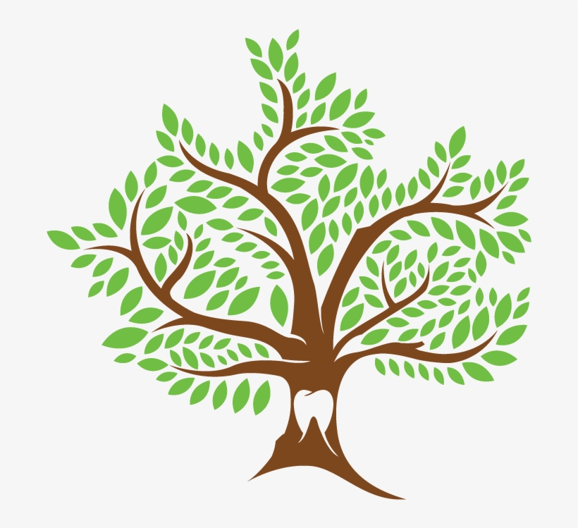 About Us - Parkville Pediatric Dentistry, transparent png