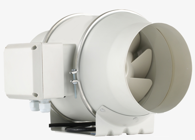 Belt, transparent png