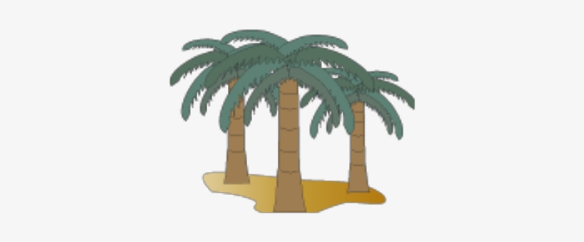 Group Of Palm Trees - Babassu, transparent png