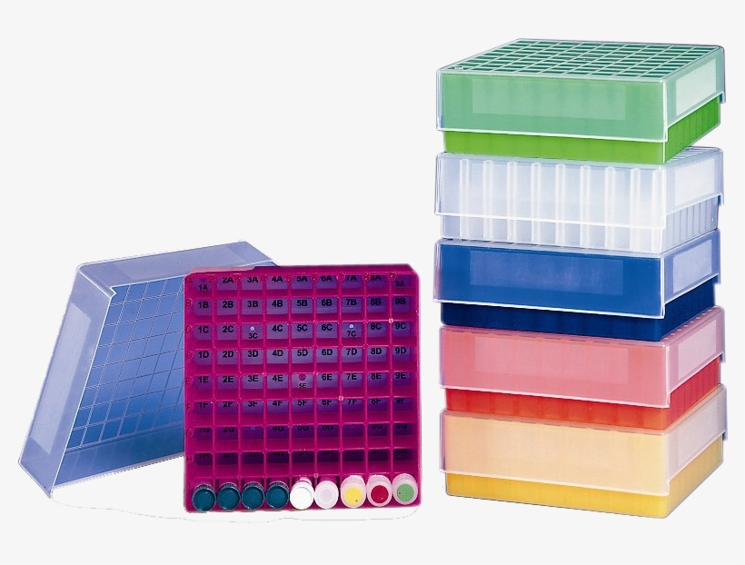 2" Polypropylene Boxes With 81 Cell Dividers Item - Polypropylene Products Png, transparent png