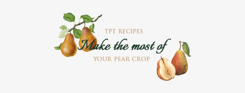 A Pear Tree Is A Wonderful Addition To Any Garden And - Pear, transparent png