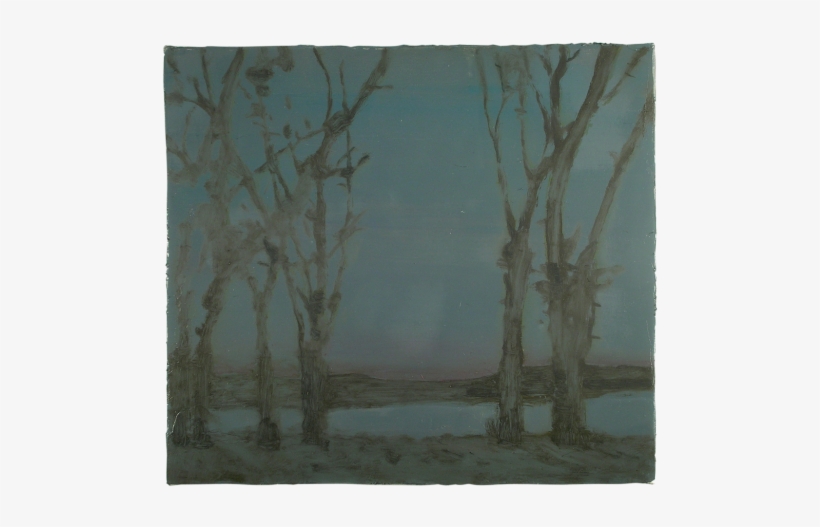Birch, transparent png