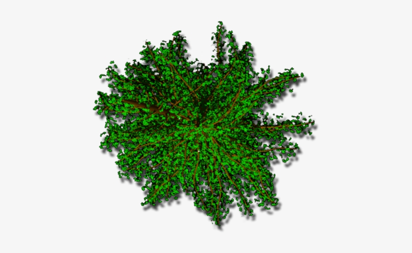 294k Willowtop400c Hrc 06 Feb 2009 - Circle, transparent png