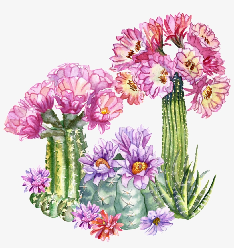 Tropical Flower Transparent - Portable Network Graphics, transparent png