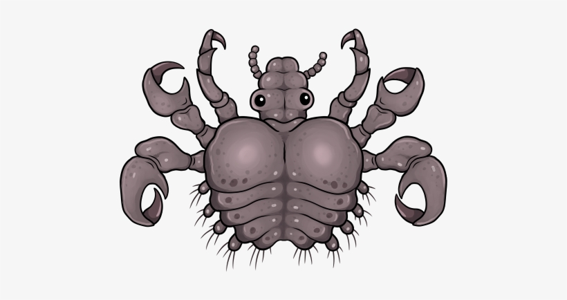 Pubic Louse Shirt Design - T-shirt, transparent png