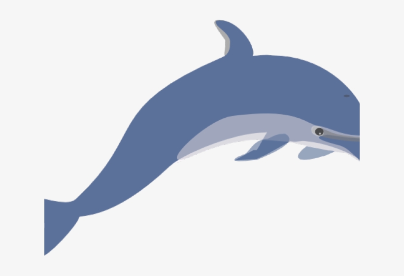 Dolphin Clipart Jpeg - Dolphin Clip Art, transparent png