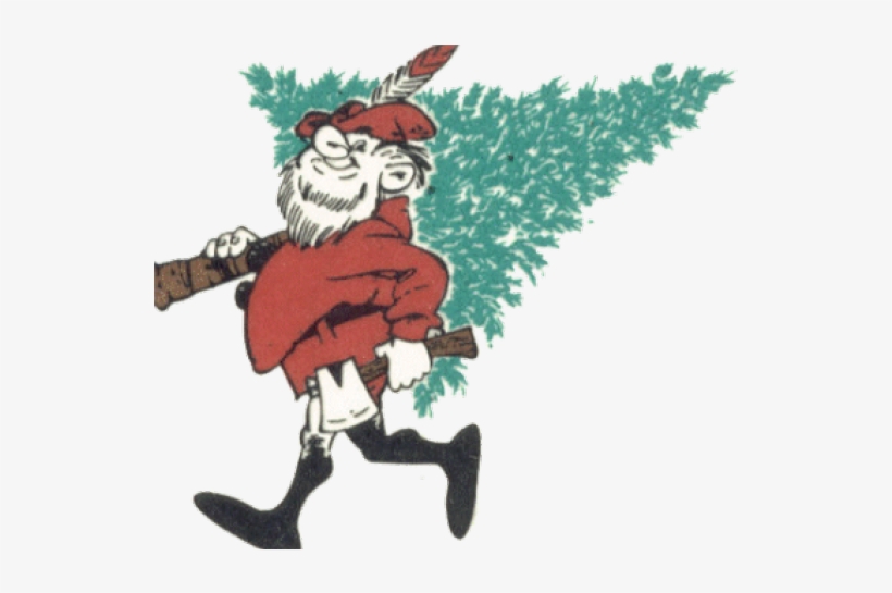 Hawaii Clipart Christmas Tree - Christmas Tree, transparent png