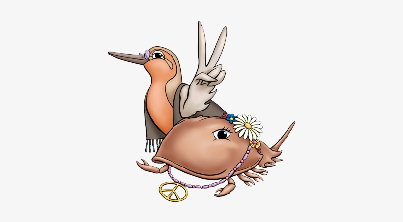 "we Had Such An Amazing Time Seeing The Horseshoe Crabs - Cartoon, transparent png