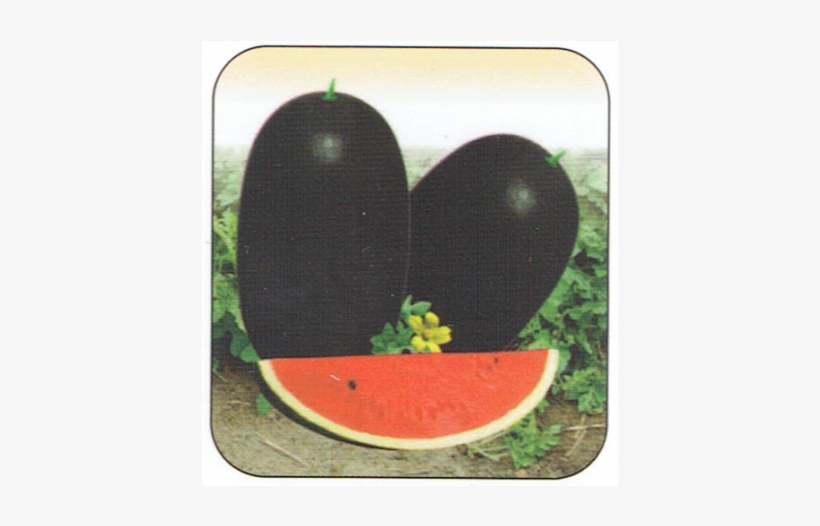 Formula 1, transparent png