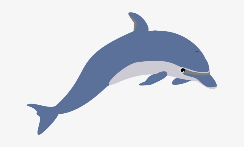 Free Download Dolphin Clipart Dolphin Clip Art - Dolphin Clip Art, transparent png