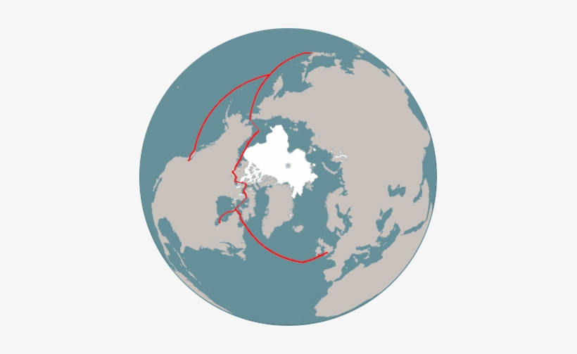 The Cable - Circle, transparent png