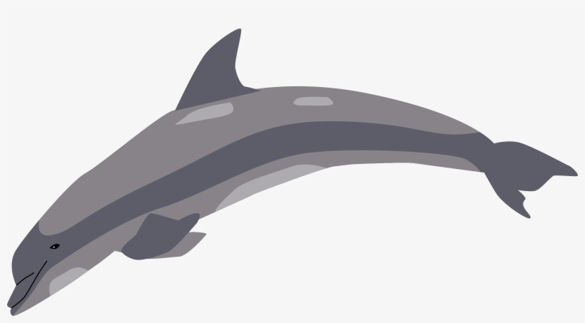 Clipart - Dolphin, transparent png
