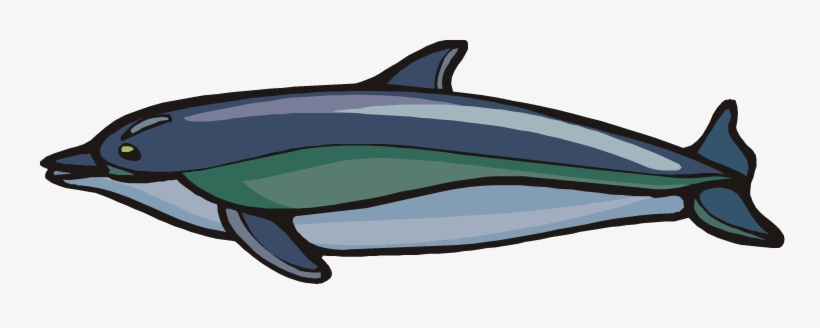 Bottlenose Dolphin Clipart Dolphin Fish - Mahi-mahi, transparent png
