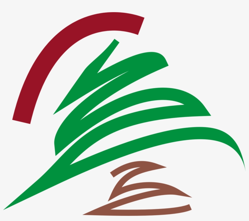 File - Cedaricon - Cedar Tree Logo, transparent png