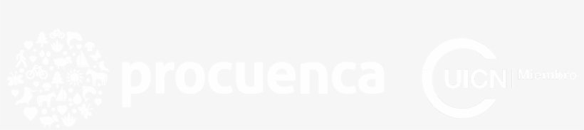 Dona - Circle, transparent png