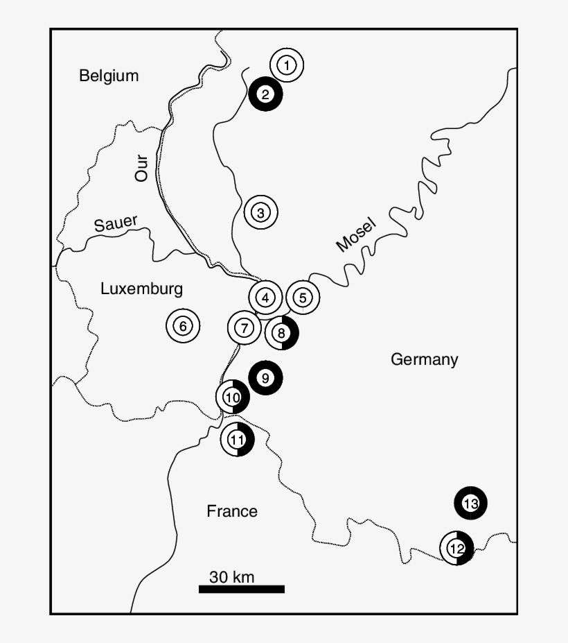 The Geographic Location Of The Sample Stations Of Cupido - Diagram, transparent png