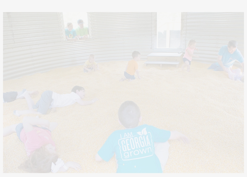 Summer Fun In Georgia - Floor, transparent png