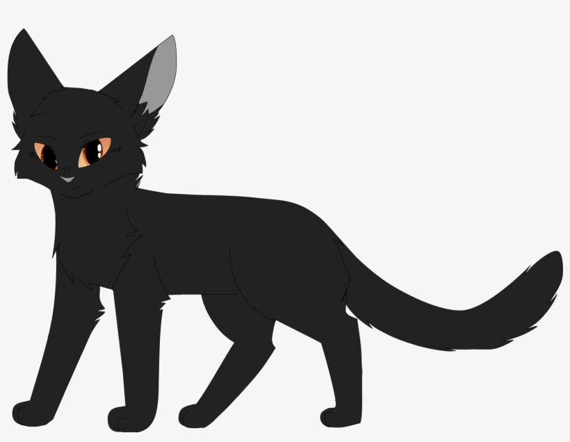 Flame - Devon Rex, transparent png