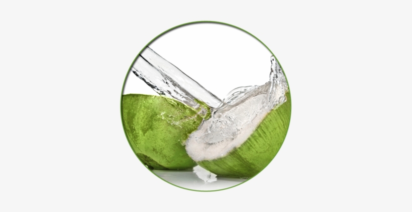 Young Coconut Water - Z Natural Foods Coconut Water Powder - Organic Freeze, transparent png
