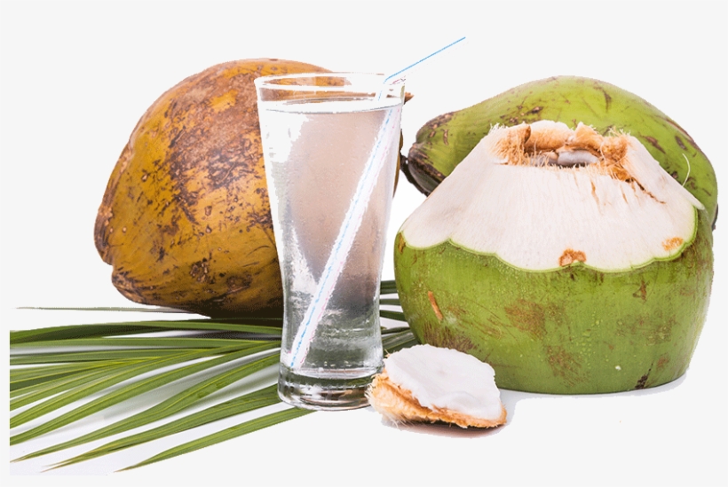 Fresh Coconut Water - Financier, transparent png