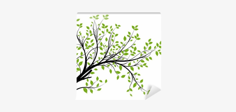 Green Decorative Branch And Leaves Wall Mural • Pixers® - Desenho De Galhos Com Folhas, transparent png