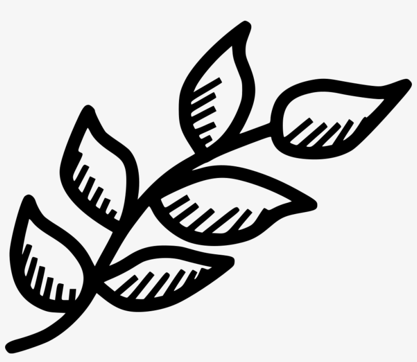 Branch Leaf Leaves Spring Decoration Nature Plant Comments - Nature Plants, transparent png