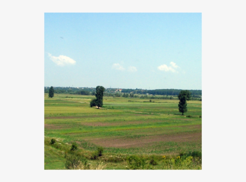 1 Romania Pic 1 - T1v 1x1, transparent png