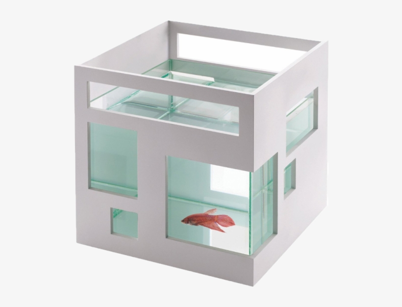Pecera Especialmente Pensada Para Arquitectos Amantes - Top Christmas Gifts 2016 For Tweens, transparent png