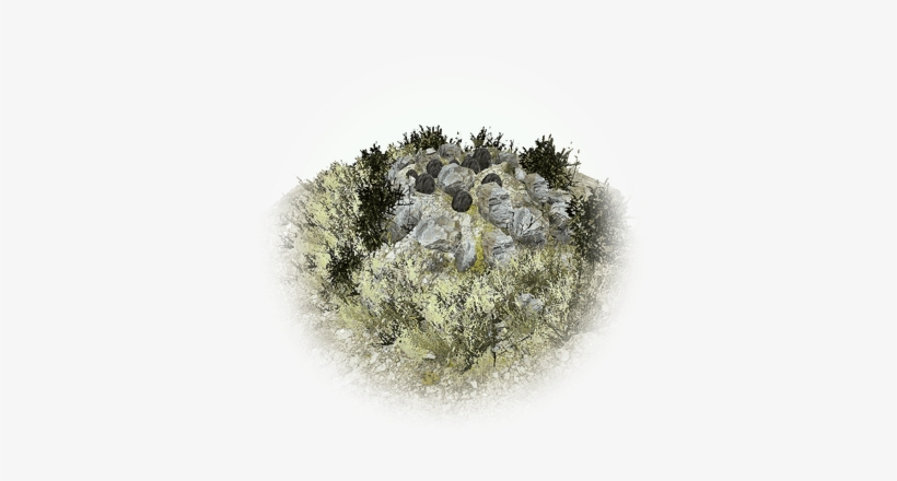 Stoneback Crab - Igneous Rock, transparent png