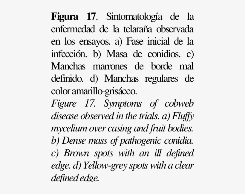 Sintomatología De La Enfermedad De La Telaraña Observada - Disease, transparent png