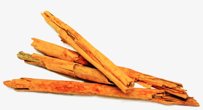 Imagen - Canela En Rama, transparent png