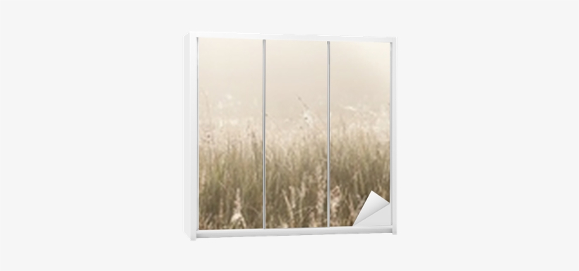 Grass Field With Spider Webs Wardrobe Sticker • Pixers® - Field, transparent png