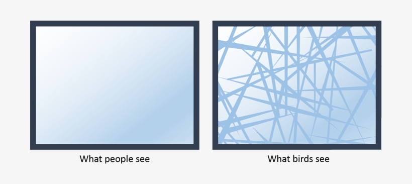A German Engineering Company Called Arnold Glas Have - Spider Web Glass, transparent png