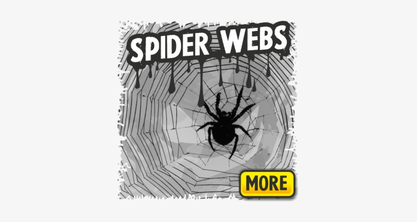 Spiderwebs And Spider Decorations For Halloween - Spider Web, transparent png