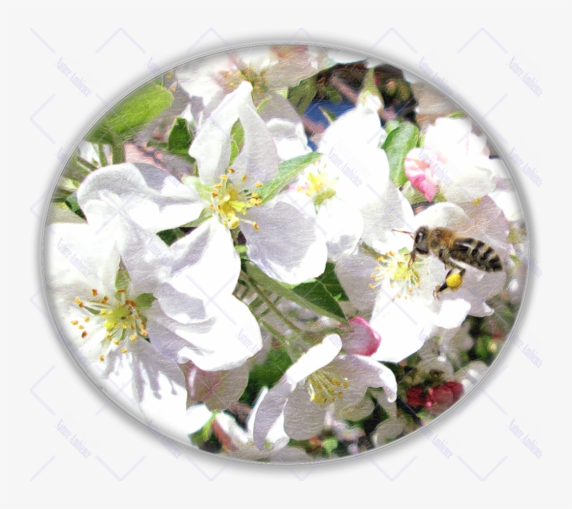 Artificial Flower, transparent png