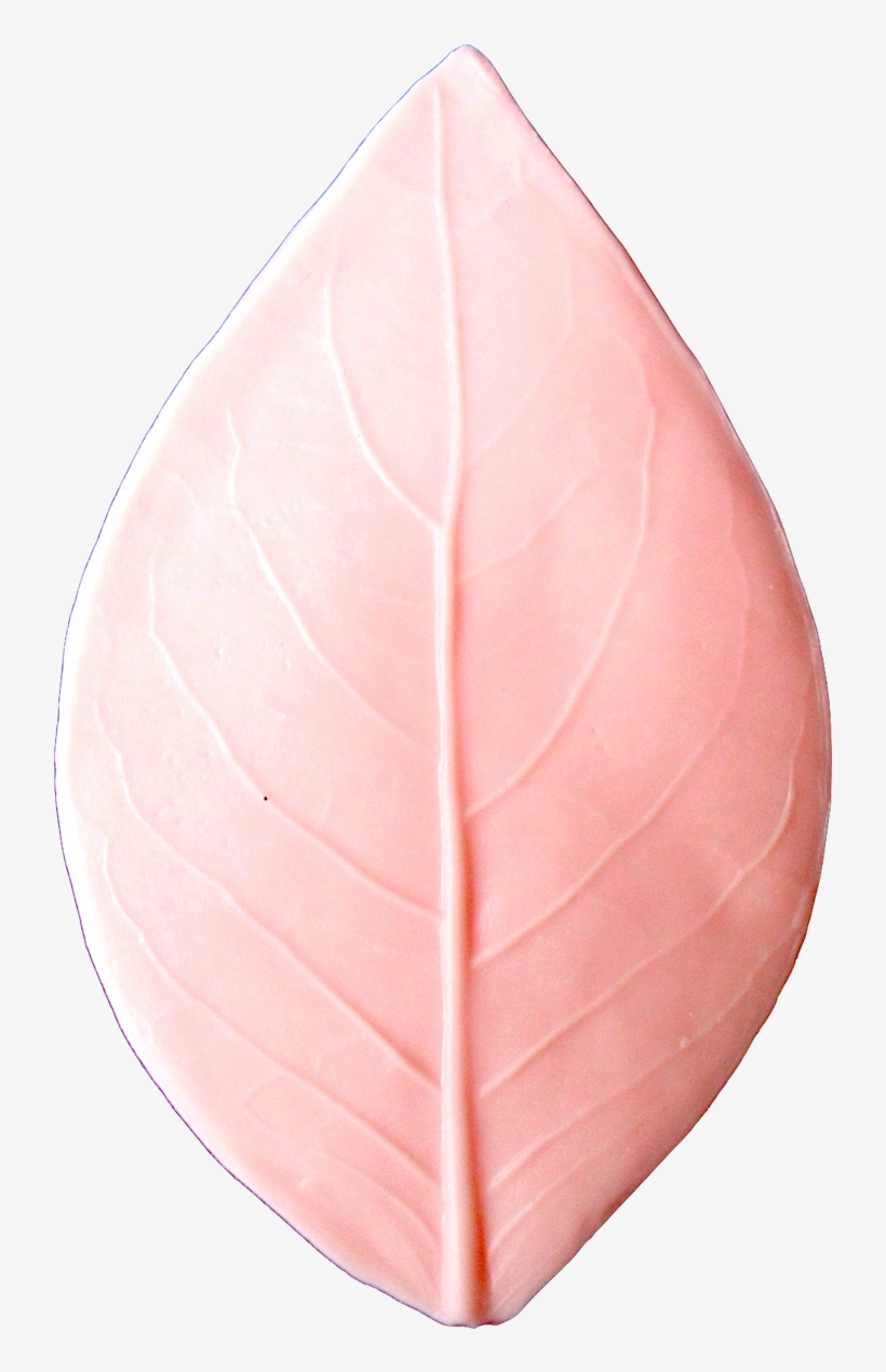 Rose Leaf - Ham, transparent png