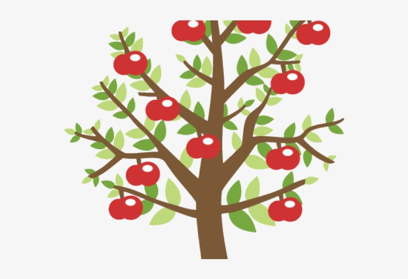 Apples On Tree Transparent, transparent png
