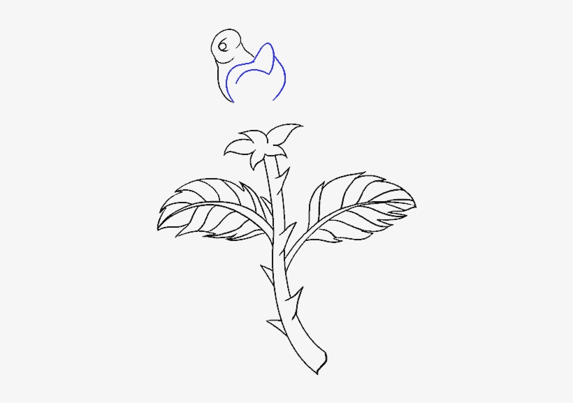 How To Draw Rose With A Stem - Drawing, transparent png