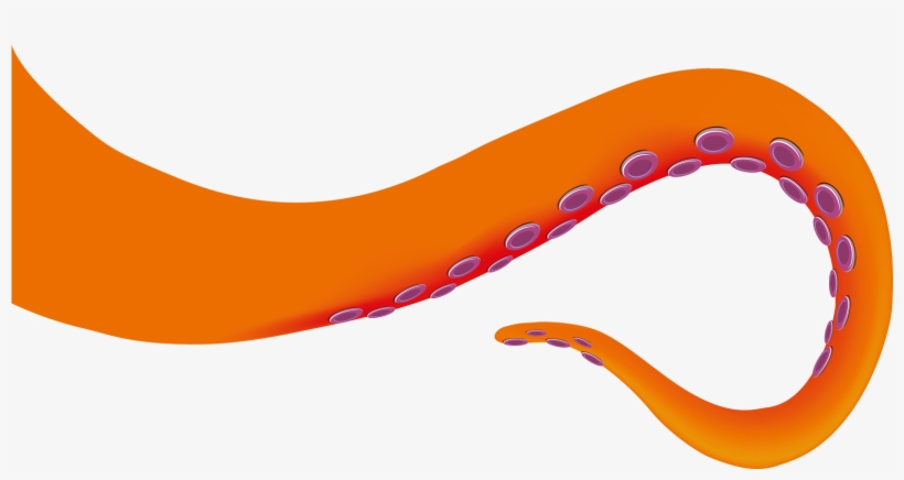 Octopus Tentacle, transparent png